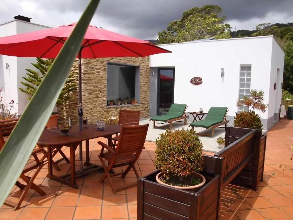 Vila Gama Apartamentos Rodeados De Natureza Machico  Machico (Madeira)